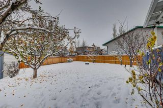Photo 30: 320 Meadowbrook Bay SE: Airdrie Detached for sale : MLS®# A2090316