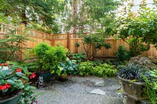 Photo 6: 3 331 Oswego St in Victoria: Vi James Bay Row/Townhouse for sale : MLS®# 879237