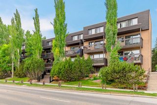 Photo 1: 7 3519 49 Street NW in Calgary: Varsity Apartment for sale : MLS®# A2057725