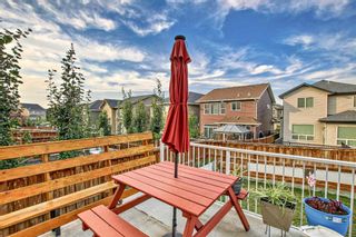 Photo 48: 350 Nolan Hill Drive NW in Calgary: Nolan Hill Detached for sale : MLS®# A2124854