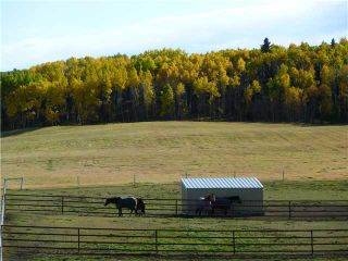 Photo 15: 43141 TWP RD 283 in COCHRANE: Rural Rocky View MD Residential Detached Single Family for sale : MLS®# C3506968