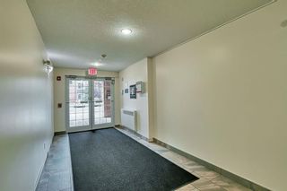 Photo 30: 4113 755 Copperpond Boulevard SE in Calgary: Copperfield Apartment for sale : MLS®# A2080652