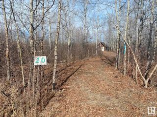 Photo 3: 20409 Twp Rd 510: Rural Beaver County Vacant Lot/Land for sale : MLS®# E4383848