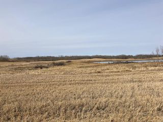 Photo 6: ON Highway 21A: Bashaw Residential Land for sale : MLS®# A2083729