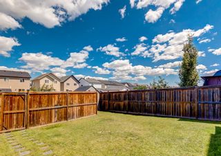 Photo 33: 451 Silverado Plains Circle SW in Calgary: Silverado Detached for sale : MLS®# A2044103