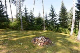 Photo 34: 2828 PTARMIGAN Road in Smithers: Smithers - Rural Manufactured Home for sale (Smithers And Area (Zone 54))  : MLS®# R2615113