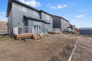 Photo 43: 459 Savanna Boulevard NE in Calgary: Saddle Ridge Semi Detached (Half Duplex) for sale : MLS®# A2115342