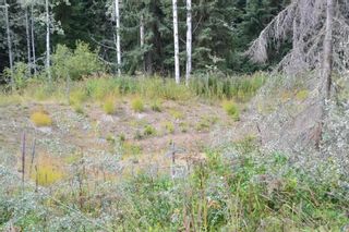 Photo 25: LOT 1 HISLOP Road in Smithers: Smithers - Rural Land for sale in "Hislop Road Area" (Smithers And Area (Zone 54))  : MLS®# R2491414