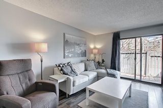 Photo 17: 104 7172 Coach Hill Road SW in Calgary: Coach Hill Row/Townhouse for sale : MLS®# A1097069