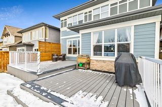 Photo 37: 17 Masters Park SE in Calgary: Mahogany Detached for sale : MLS®# A2013887