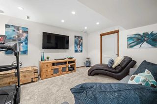 Photo 22: 111 Elgin View SE in Calgary: McKenzie Towne Detached for sale : MLS®# A2061386