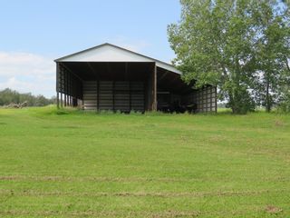 Photo 36: 271032 TWP RD 431: Rural Ponoka County Agriculture for sale : MLS®# A2004785