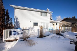 Photo 40: 40 Conners Crescent: Red Deer Detached for sale : MLS®# A2016834