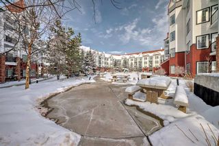 Photo 19: 226 20 Royal Oak Plaza NW in Calgary: Royal Oak Apartment for sale : MLS®# A2117494