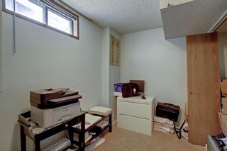 Photo 33: 59 Whitehaven Road in Calgary: Whitehorn Detached for sale : MLS®# A1241321