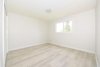 Photo 11: 42 Erin Ridge Place SE in Calgary: Erin Woods Detached for sale : MLS®# A1234940