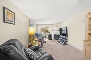 Photo 3: 122 22514 116 Avenue in Maple Ridge: East Central Condo for sale in "FRASER COURT" : MLS®# R2898236