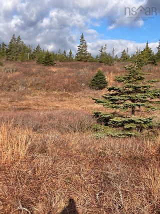 Photo 9: Lot C1 East Jeddore Road in East Jeddore: 35-Halifax County East Vacant Land for sale (Halifax-Dartmouth)  : MLS®# 202214751