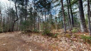 Photo 15: Lot Sarah Drive in Coldbrook: Kings County Vacant Land for sale (Annapolis Valley)  : MLS®# 202307154