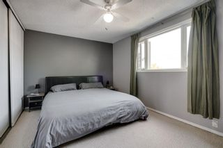 Photo 15: 119 Erin Dale Place SE in Calgary: Erin Woods Detached for sale : MLS®# A1038168