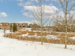 Photo 41: 45 Tuscany Valley Hill NW in Calgary: Tuscany Detached for sale : MLS®# A1077042