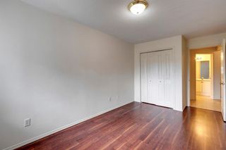 Photo 12: 339 165 Manora Place NE in Calgary: Marlborough Park Apartment for sale : MLS®# A1226923