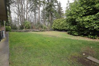 Photo 13: 6941 HALIFAX Street in Burnaby: Sperling-Duthie House for sale (Burnaby North)  : MLS®# R2762373