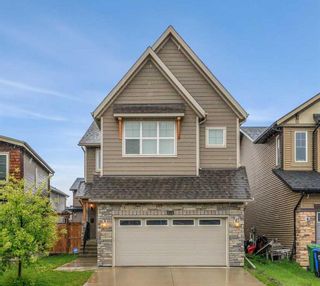Main Photo: 60 Evansborough Green NW in Calgary: Evanston Detached for sale : MLS®# A2136636