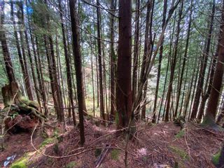 Photo 8: LOTS 3, 4, 5 E 9TH AVENUE in Prince Rupert: Vacant Land for sale : MLS®# R2872198