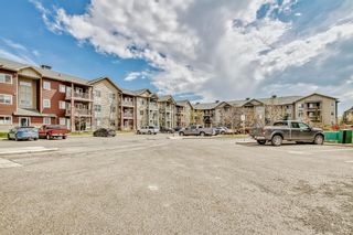 Photo 39: 1310 2370 Bayside Road SW: Airdrie Apartment for sale : MLS®# A2047981