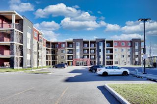 Photo 6: 205 15 Saddlestone Way NE in Calgary: Saddle Ridge Apartment for sale : MLS®# A2129042