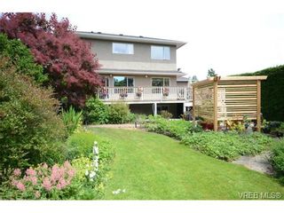 Photo 8: 931 Lavender Ave in VICTORIA: SW Marigold House for sale (Saanich West)  : MLS®# 735227