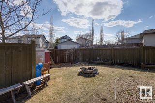 Photo 48: 14017 158A Avenue in Edmonton: Zone 27 House for sale : MLS®# E4384103