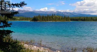 Photo 11: LOTS 10 & A DISCOVERY AVENUE in Atlin: Recreational for sale : MLS®# R2828341