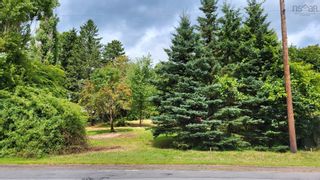 Photo 3: Lot Main Street in Canning: Kings County Vacant Land for sale (Annapolis Valley)  : MLS®# 202319214