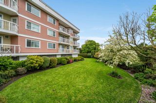 Photo 29: 303 11240 MELLIS Drive in Richmond: East Cambie Condo for sale : MLS®# R2877317