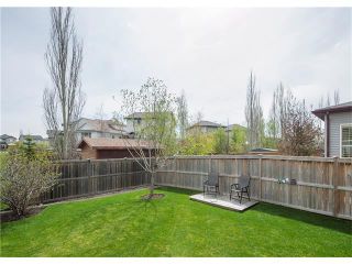 Photo 35: 160 CRANWELL Crescent SE in Calgary: Cranston House for sale : MLS®# C4116607