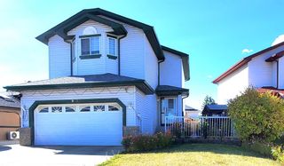 Photo 46: 813 Applewood Drive SE in Calgary: Applewood Park Detached for sale : MLS®# A1076322