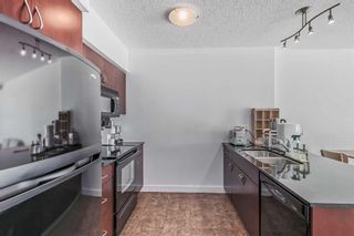 Photo 14: 1012 8880 Horton Road SW in Calgary: Haysboro Apartment for sale : MLS®# A2096304
