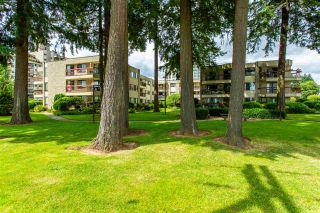 Photo 35: 231 31955 OLD YALE Road in Abbotsford: Abbotsford West Condo for sale in "EVERGREEN VILLAGE" : MLS®# R2477163