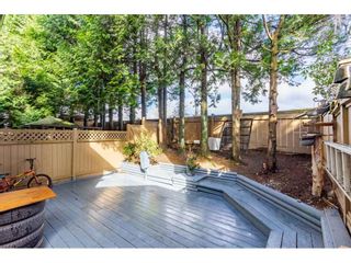 Photo 30: 5 32310 MOUAT Drive in Abbotsford: Abbotsford West Townhouse for sale in "Mouat Gardens" : MLS®# R2543004