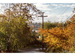 Photo 8: 4041 Nelthorpe St in VICTORIA: SE High Quadra Land for sale (Saanich East)  : MLS®# 685817