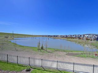 Photo 39: 2208 42 Cranbrook Gardens SE in Calgary: Cranston Apartment for sale : MLS®# A2113593