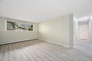 Photo 11: 115 3420 50 Street NW in Calgary: Varsity Apartment for sale : MLS®# A2052352