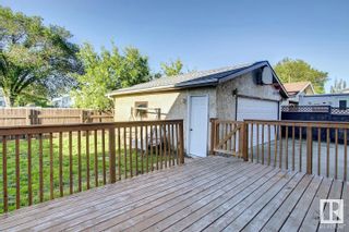 Photo 16: 10521 29A Avenue in Edmonton: Zone 16 House for sale : MLS®# E4305631