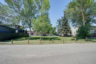 Photo 31: 439 Templeton Road NE in Calgary: Temple Detached for sale : MLS®# A2069885