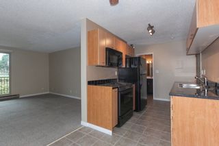 Photo 9: 303 1121 HOWIE AVENUE in Coquitlam: Central Coquitlam Condo for sale : MLS®# R2218435