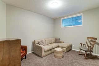 Photo 34: 335 Royal Court NW in Calgary: Royal Oak Detached for sale : MLS®# A1202909