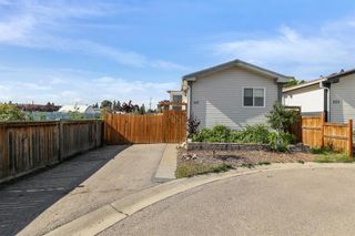Photo 38: 117 Erin Woods Circle SE in Calgary: Erin Woods Detached for sale : MLS®# A1234371