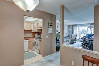 Photo 10: 419 333 Garry Crescent NE in Calgary: Greenview Apartment for sale : MLS®# A2070794